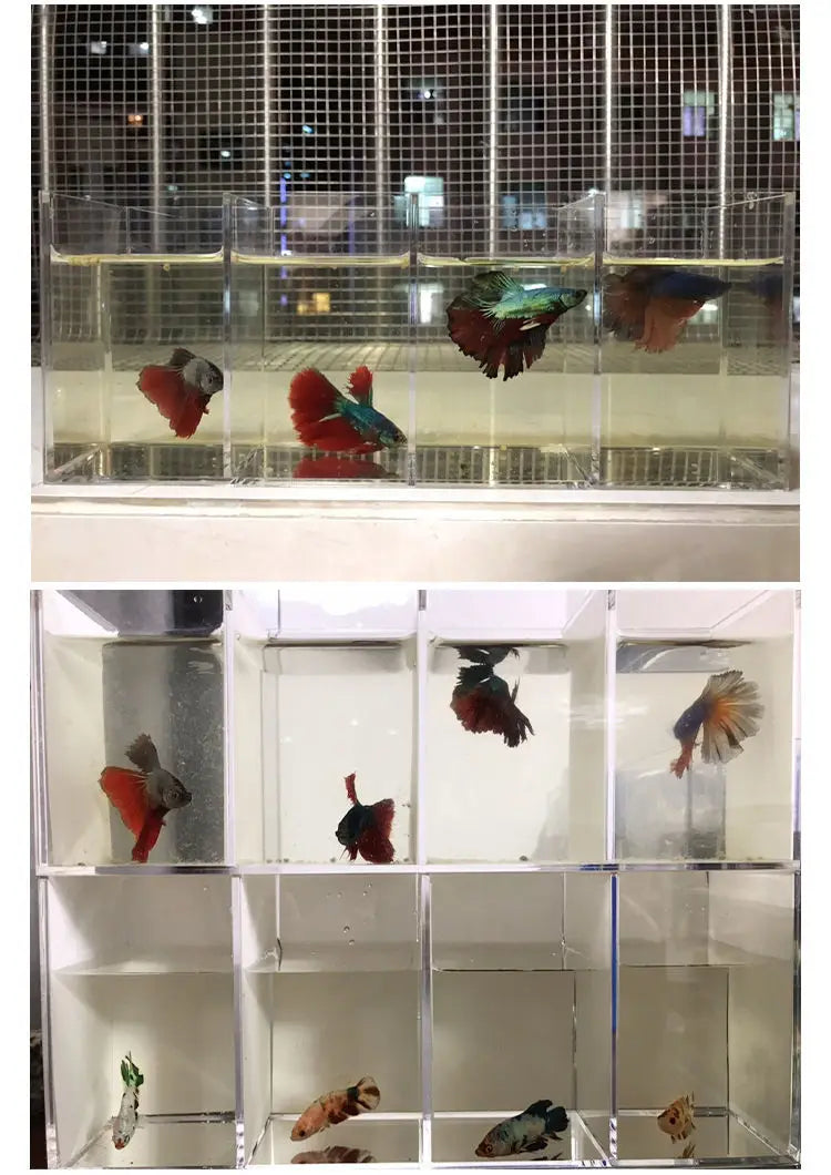 Aquarium Acrylic Fish Tank Betta Fish Display Rack Multi-grids Desktop Small Fish Tank Isolation Turtle Tank Miniature Landscape