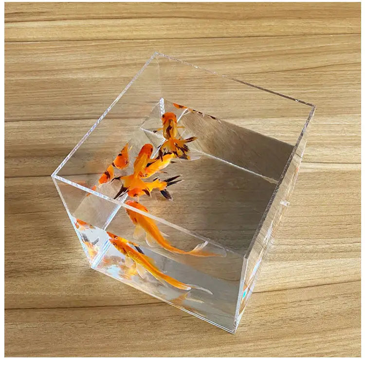 Aquarium Acrylic Fish Tank Betta Fish Display Rack Multi-grids Desktop Small Fish Tank Isolation Turtle Tank Miniature Landscape
