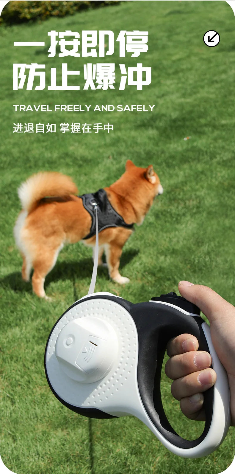 LED Lighted Retractable Dog Leash, Sturdy Durable Nylon Pet Lead for Small, Medium & Large Dogs & Cats, Perfect for Schnauzers