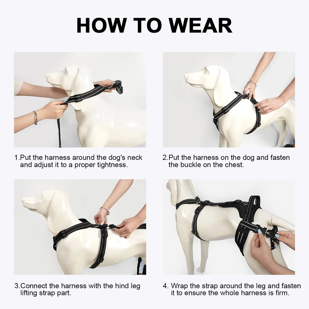 Reflective Dog Leash Soft Comfortable Pet Lead Durable for Small Medium Large Dogs Portable for Outdoor Walking Hiking Training