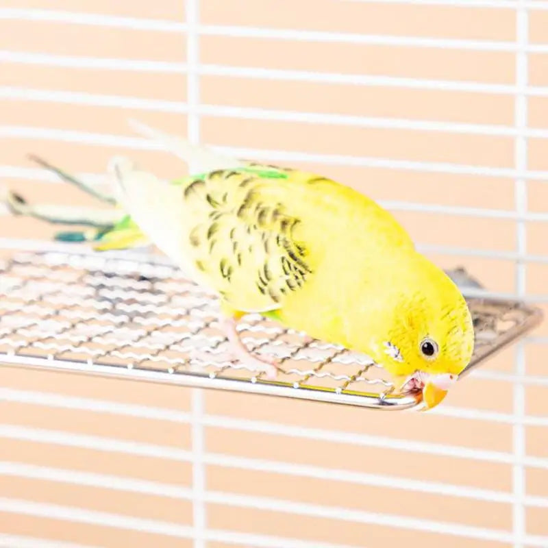 Bird Cage Accessories Pet Parrot Stainless Steel Rest Jump Platform Stand Board Chew Bite Toys Stick Tree Branch Stand Rack