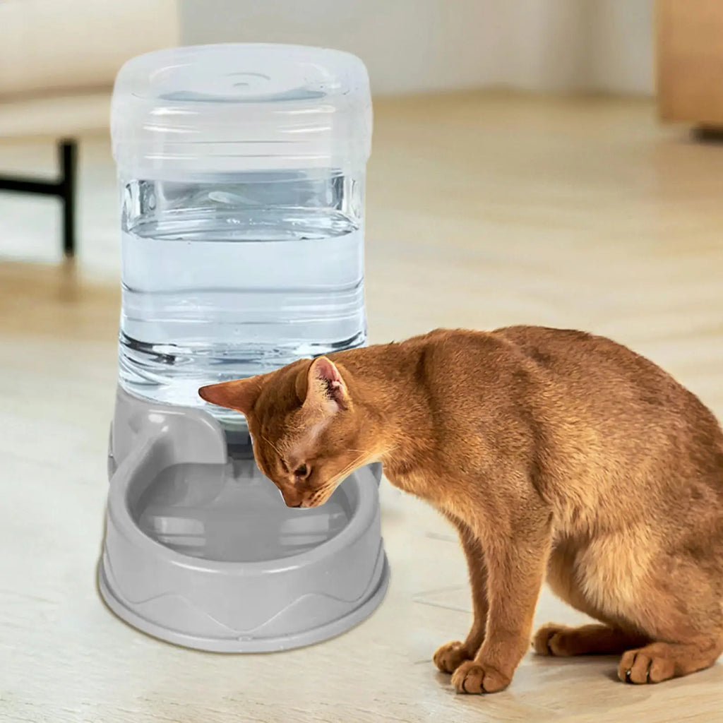 Cat Feeder for Dry Food Cat Waterer Food Feeder Large Capacity Automatic Dog and Cat Water Dispenser for Small to Medium Pets