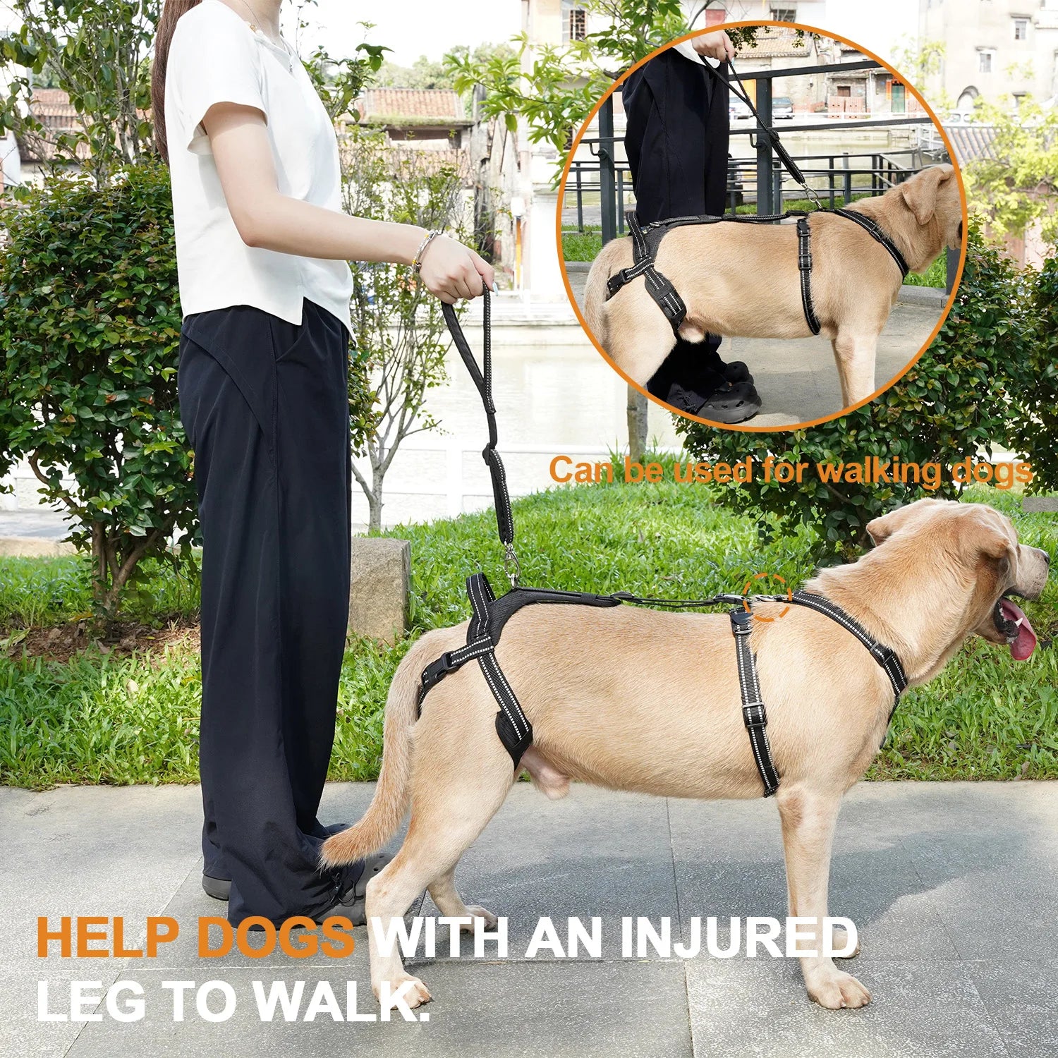 Reflective Dog Leash Soft Comfortable Pet Lead Durable for Small Medium Large Dogs Portable for Outdoor Walking Hiking Training