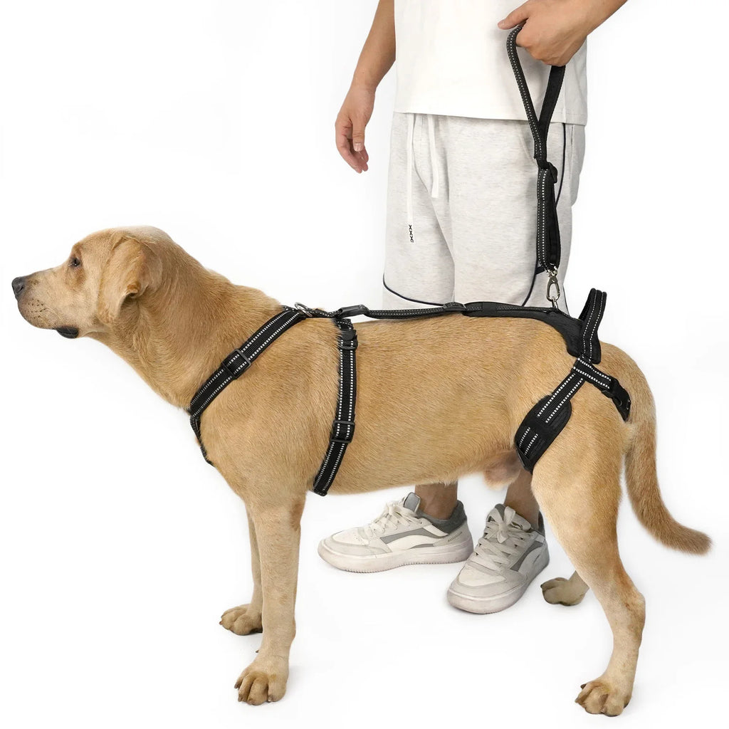 Reflective Dog Leash Soft Comfortable Pet Lead Durable for Small Medium Large Dogs Portable for Outdoor Walking Hiking Training