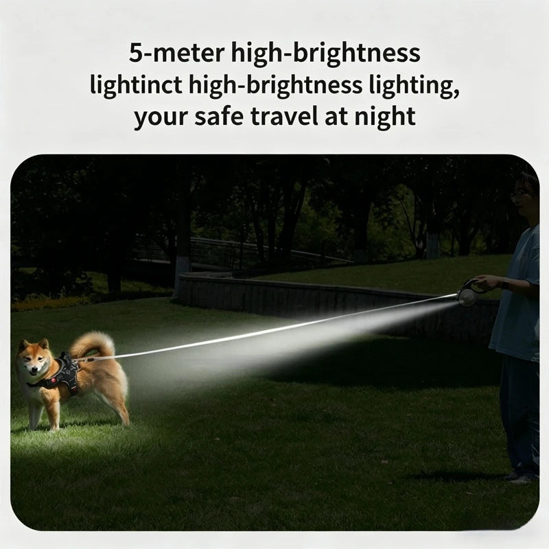 LED Lighted Retractable Dog Leash, Sturdy Durable Nylon Pet Lead for Small, Medium & Large Dogs & Cats, Perfect for Schnauzers