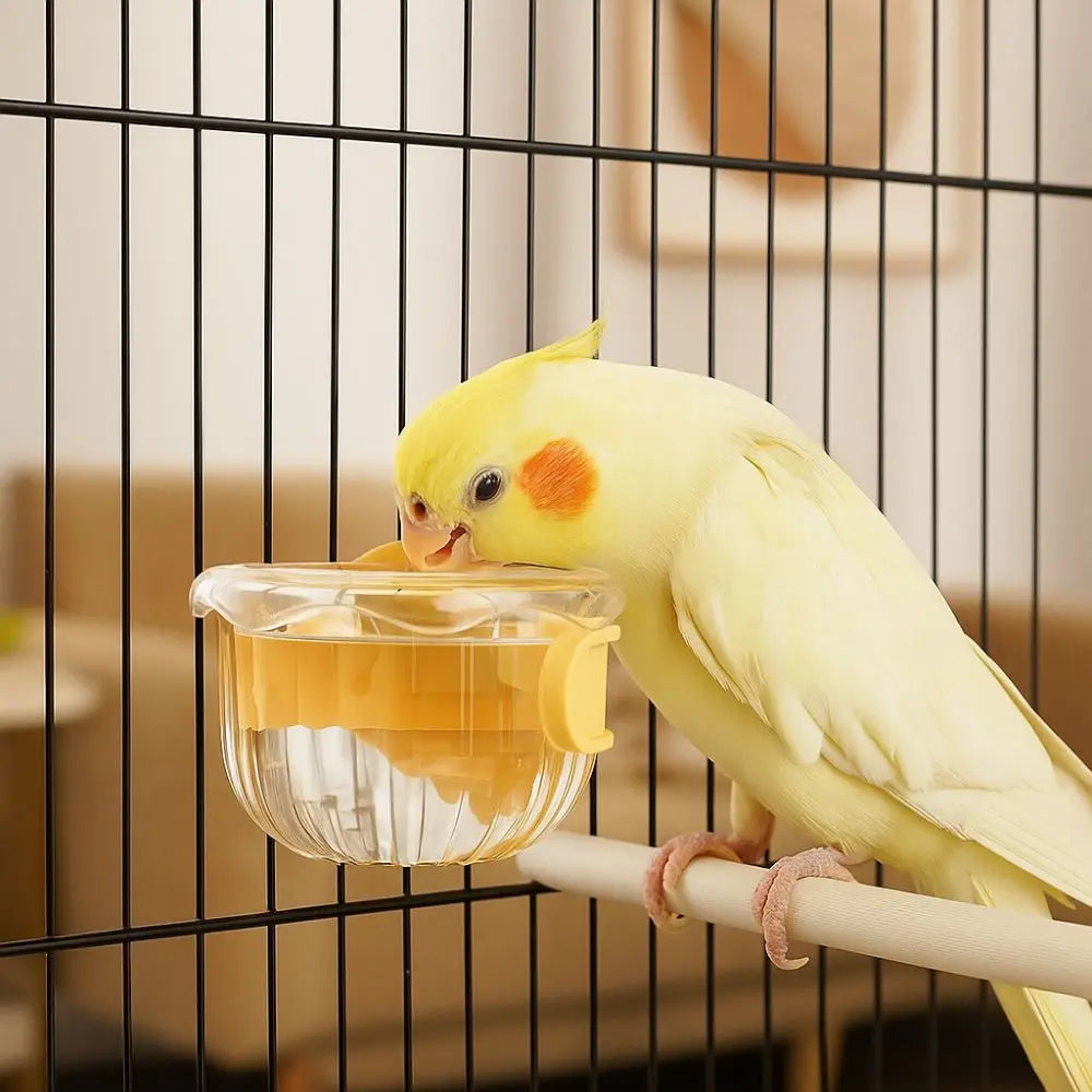 Pet Accessories Hanging Bird Food Bowl Removable Anti Spill Bird Feeder Cup Wide Mouth Parrot Water Bowl Bird Cage