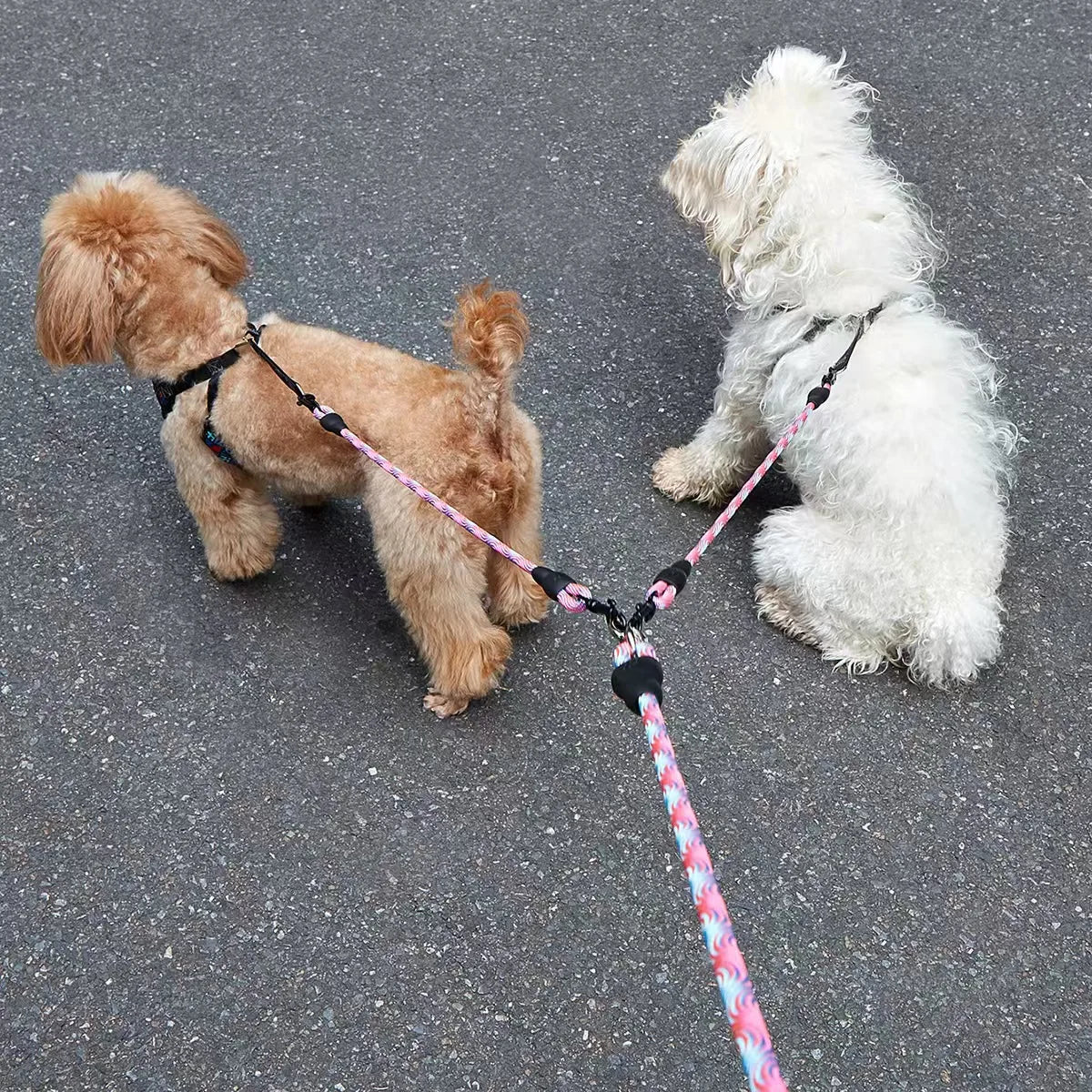 Double Head Dog Leash Wave Design Outdoor Walking Traction Rope for Pets