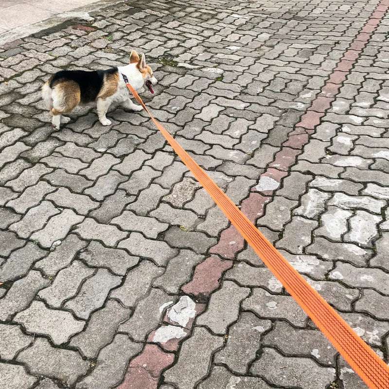 5m 10m 15m Dog Leash long Pet Lead Non-Slip Rubber Training Walking Rope Comfortable Dog Leashes For Small Medium Large big Dogs