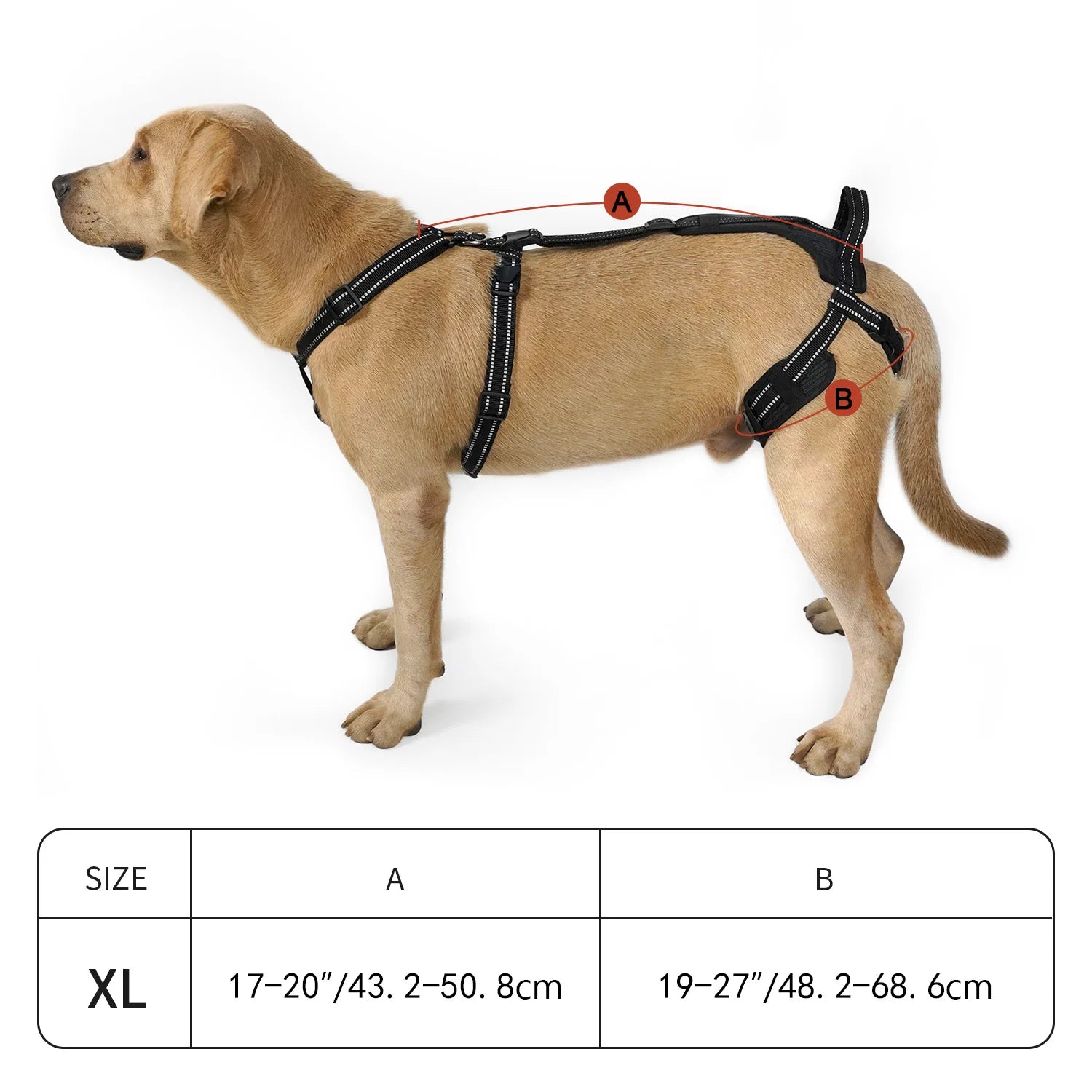 Reflective Dog Leash Soft Comfortable Pet Lead Durable for Small Medium Large Dogs Portable for Outdoor Walking Hiking Training