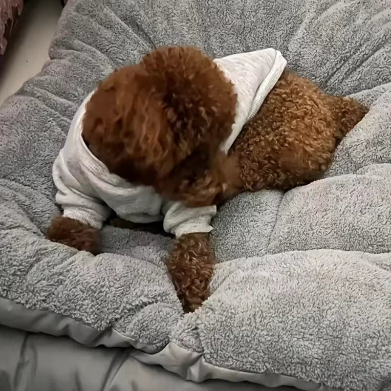 120*60cm Large Double Sided Dog Bed Universal For All Seasons Plush Super Soft Polyester Thickened Sofa-Style Mat for Breed Dogs