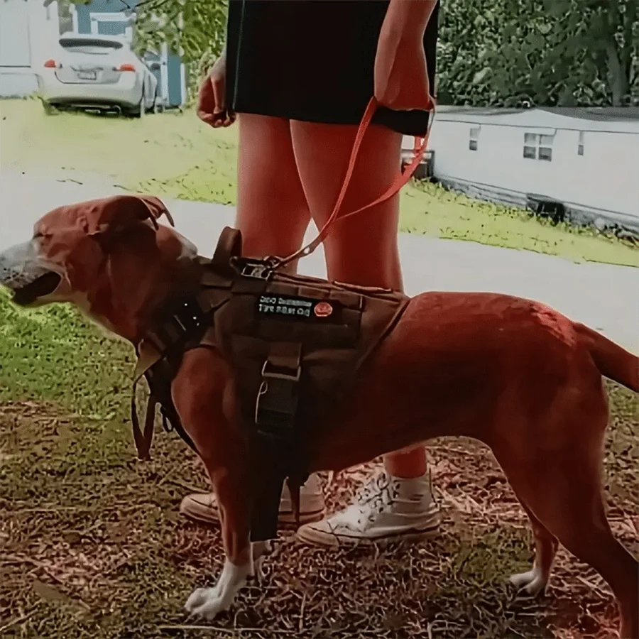 Short Dog Leash, Wide Traffic Handle, Traffic Leash, Traffic Lead For Dogs Training Walking