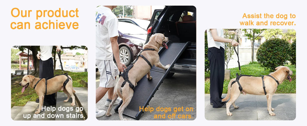 Reflective Dog Leash Soft Comfortable Pet Lead Durable for Small Medium Large Dogs Portable for Outdoor Walking Hiking Training