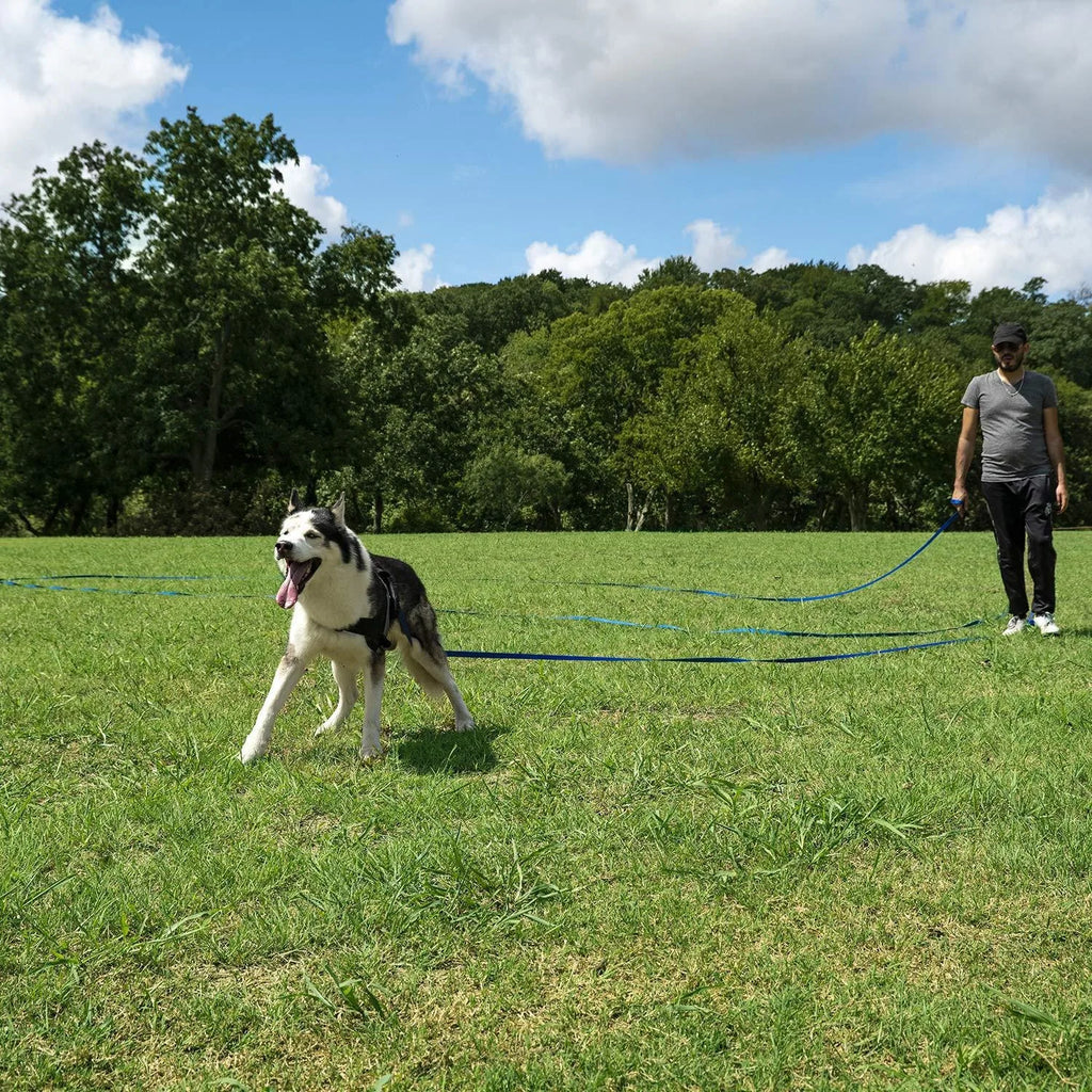 4.5-30M Long Dog Training Leash Black Durable Pet Recall Lead For Agility Camping Backyard Play Outdoor Dog Walking Rope Leash