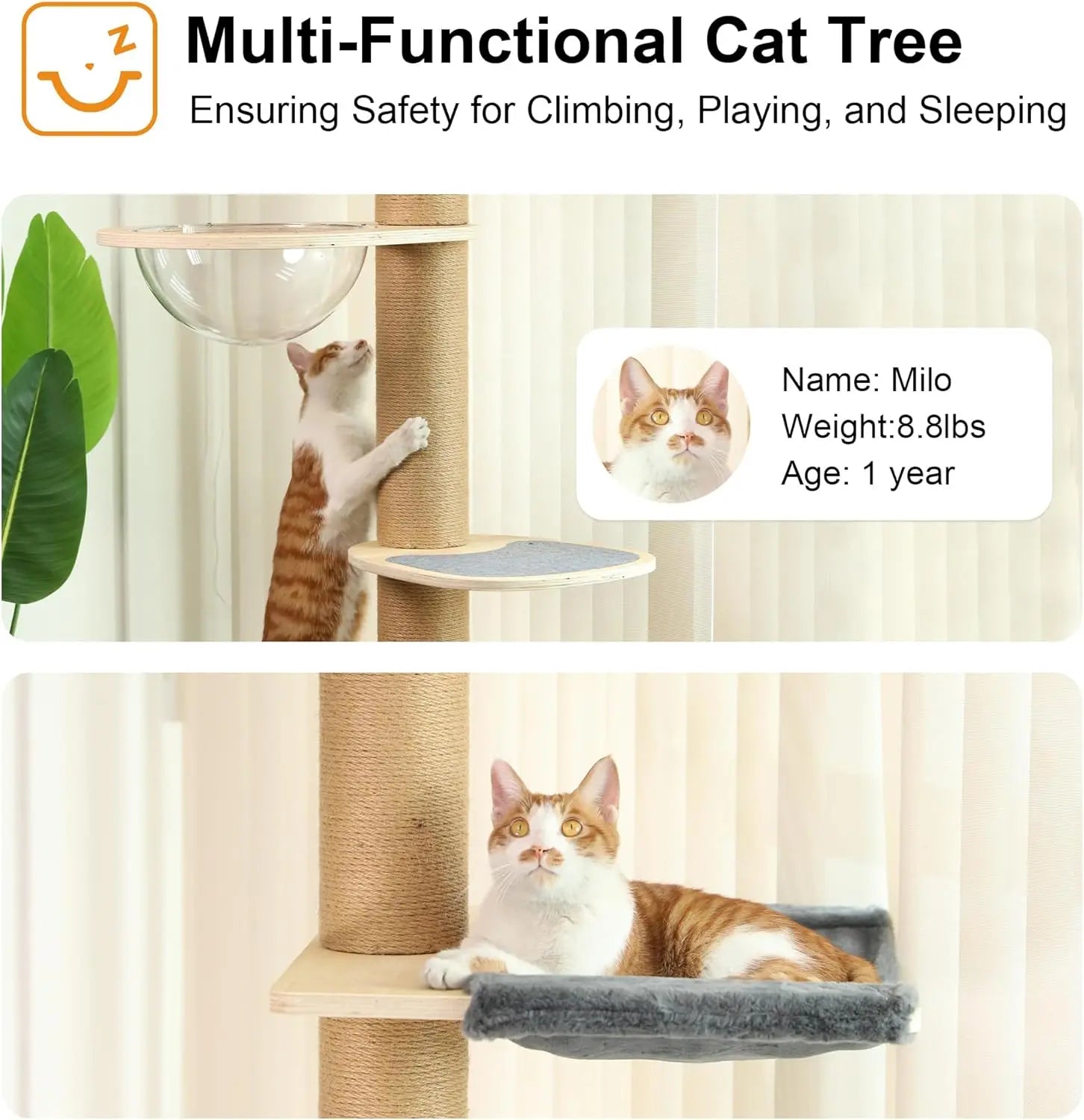 A large, luxurious cat tree made from sustainable wood, featuring climbing posts and toys that extend from floor to ceiling