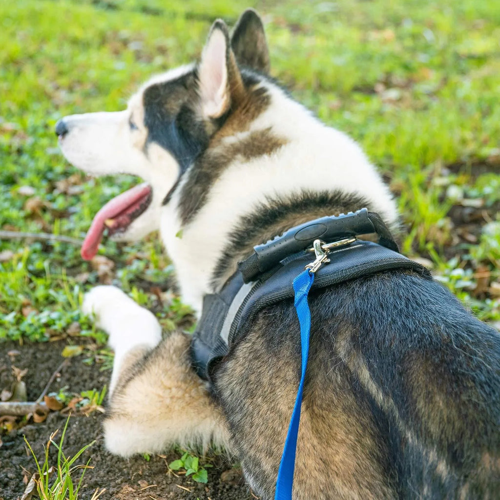 4.5-30M Long Dog Training Leash Black Durable Pet Recall Lead For Agility Camping Backyard Play Outdoor Dog Walking Rope Leash