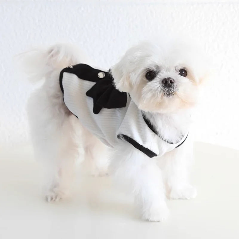 Dog Clothes for Small Dogs Dog Summer T-Shirt Pet Dog Skirt Black White Retro Dresses Puppy Costume Chihuahua Bichon Clothing