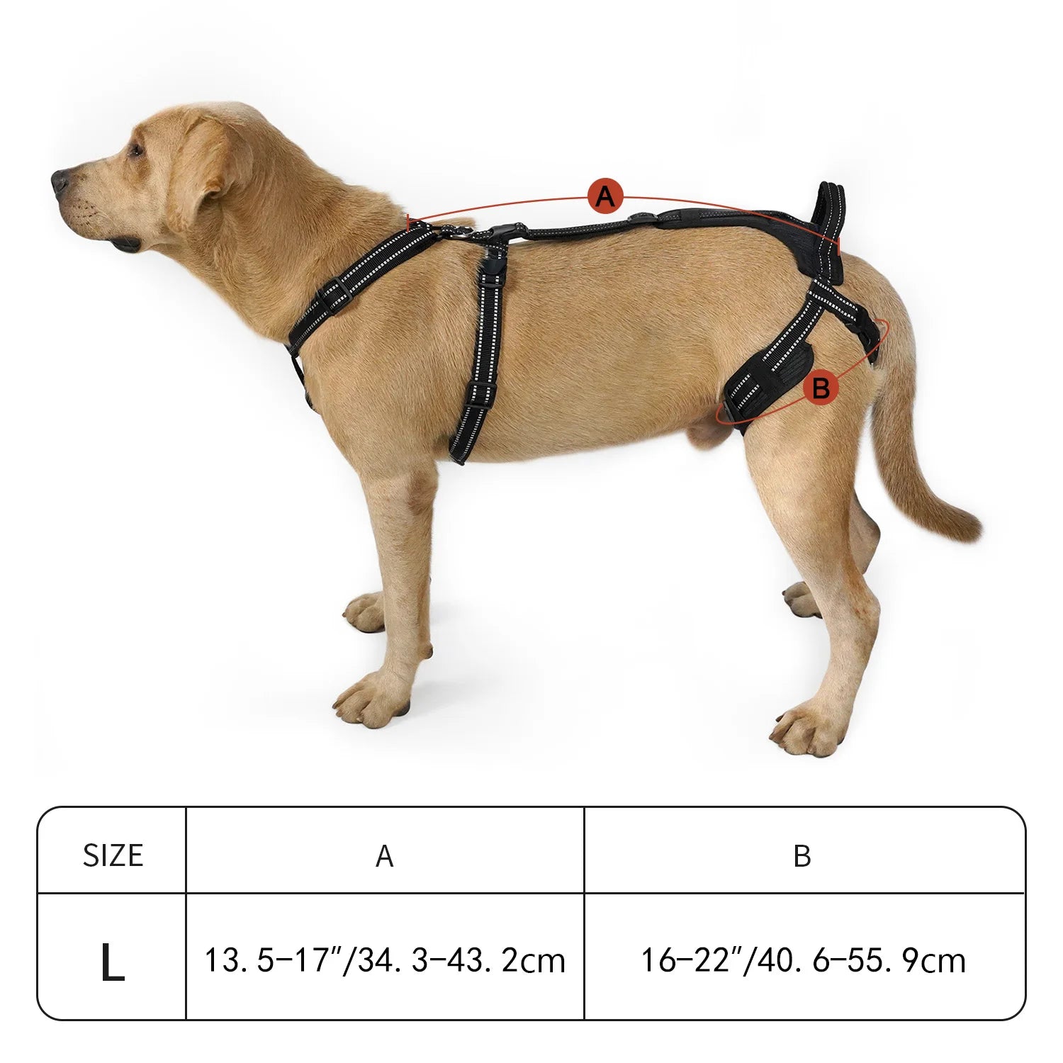 Reflective Dog Leash Soft Comfortable Pet Lead Durable for Small Medium Large Dogs Portable for Outdoor Walking Hiking Training